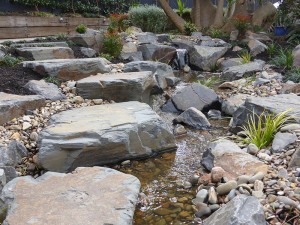 Camberwell Japanese garden stream