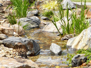 Garden stream in front yard in Cranbourne