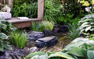 Stepping stones in stream leading to a pergola