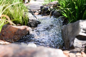 Calming waters - pondless stream