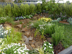 Natural looking pondless stream with rocks and pebbles