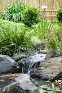 Pond and waterfall in Japanese style garden Pond and waterfall in Japanese style garden