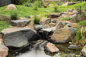 Japanese style stream and pond