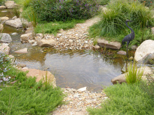 Lysterfield creek pool