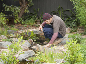 Doing some weeding and pruning