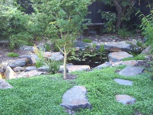 Blackburn Japanese fish pond