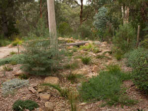 Blackburn dry creek bed