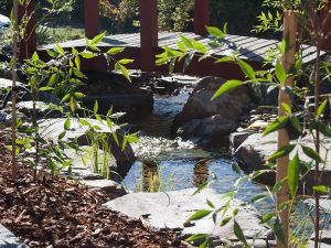 Find out more about pondless streams and waterfalls landscape design in Melbourne