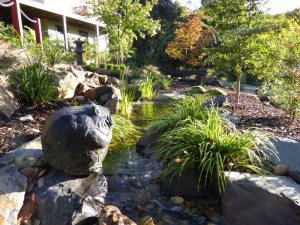 Natural pondless stream in Japanese garden.