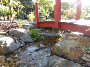 Japanese stream in Eltham flowing under red Japanese style timber bridge.