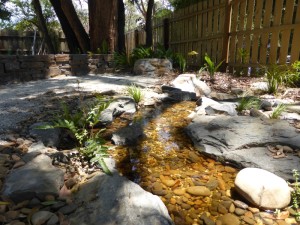 Gentle meandering creek in Ferntree Gully