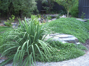 Japanese-style garden