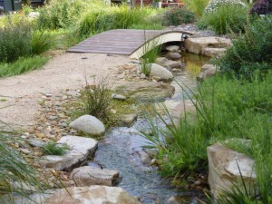 Lysterfield garden with stream.