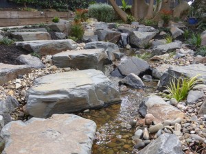 Japanese stream in Camberwell