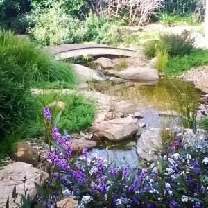 Native style garden stream.