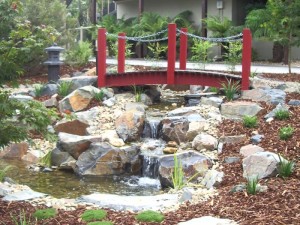 Cascading waterfalls running under a red, arched, timber bridge in Eltham.