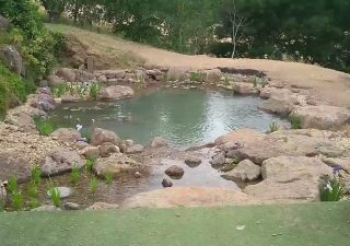 Kangaroo Ground recreation pond just finished! Kangaroo Ground pond
