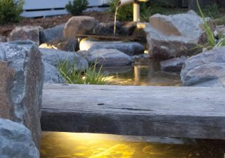 Japanese garden stream in Footscray