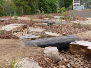 Dry creek bed