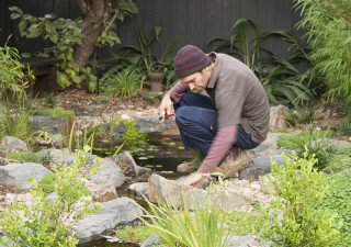 Caring for your garden Ben Harris