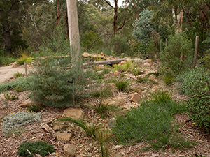 Blackburn dry creek bed