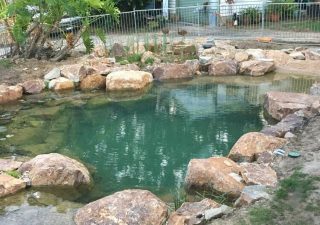 Ferntree Gully recreation pond Ferntree Gully pond