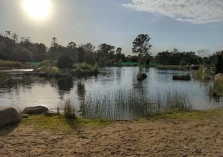 Lake Gkula (Woodford, QLD), 18 months on… Lake Gkula